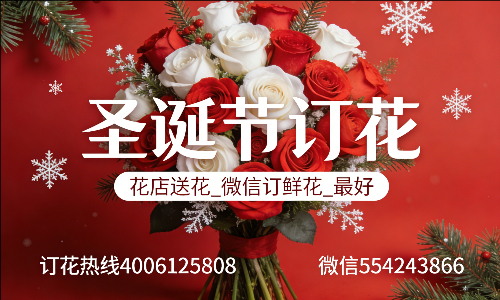 淮南凤台县花店送花_微信订鲜花_圣诞节订花_最好? 淮南凤台县花店